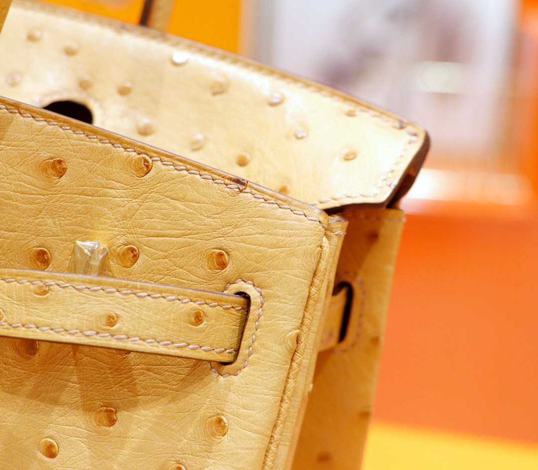 Hermès（爱马仕）Birkin 铂金包 奶茶色 南非鸵鸟皮 金扣 25cm