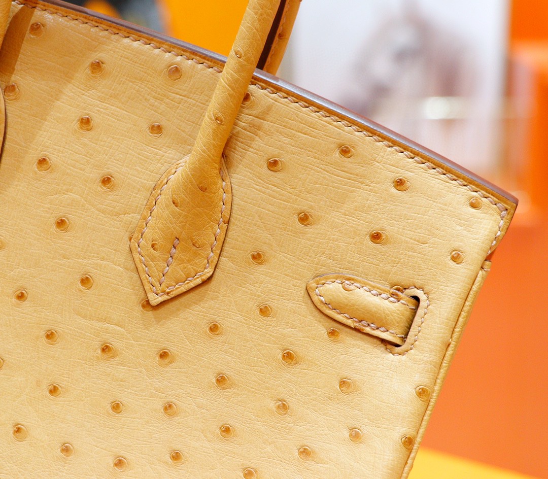 Hermès（爱马仕）Birkin 铂金包 奶茶色 南非鸵鸟皮 金扣 25cm