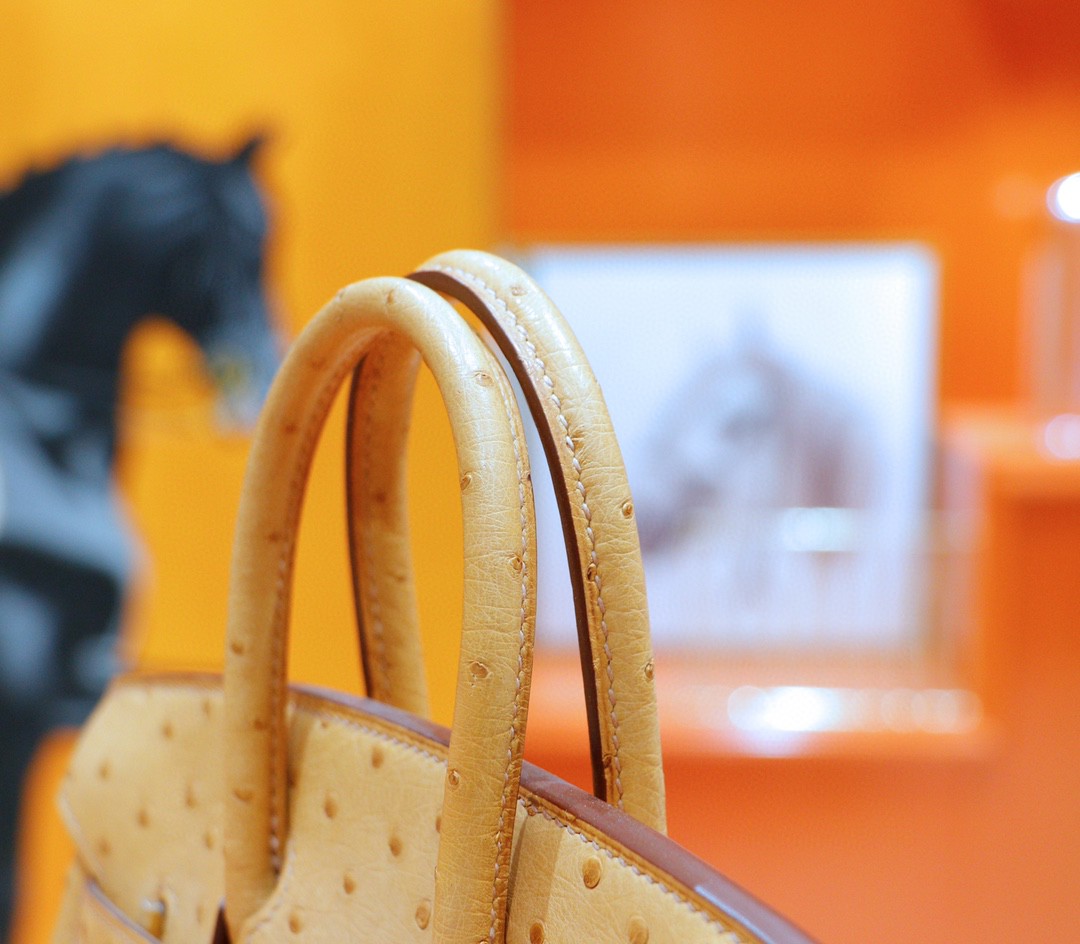 Hermès（爱马仕）Birkin 铂金包 奶茶色 南非鸵鸟皮 金扣 25cm
