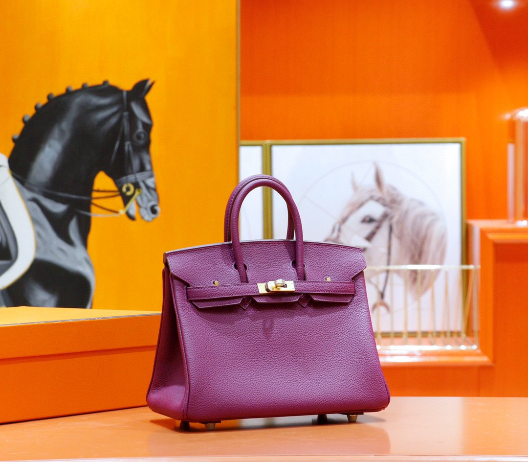 Hermès（爱马仕）Birkin 铂金包 海葵紫 Togo 全手缝 金扣 25cm