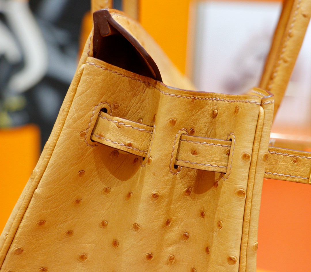 Hermès（爱马仕）Birkin 铂金包 奶茶色 南非鸵鸟皮 金扣 25cm