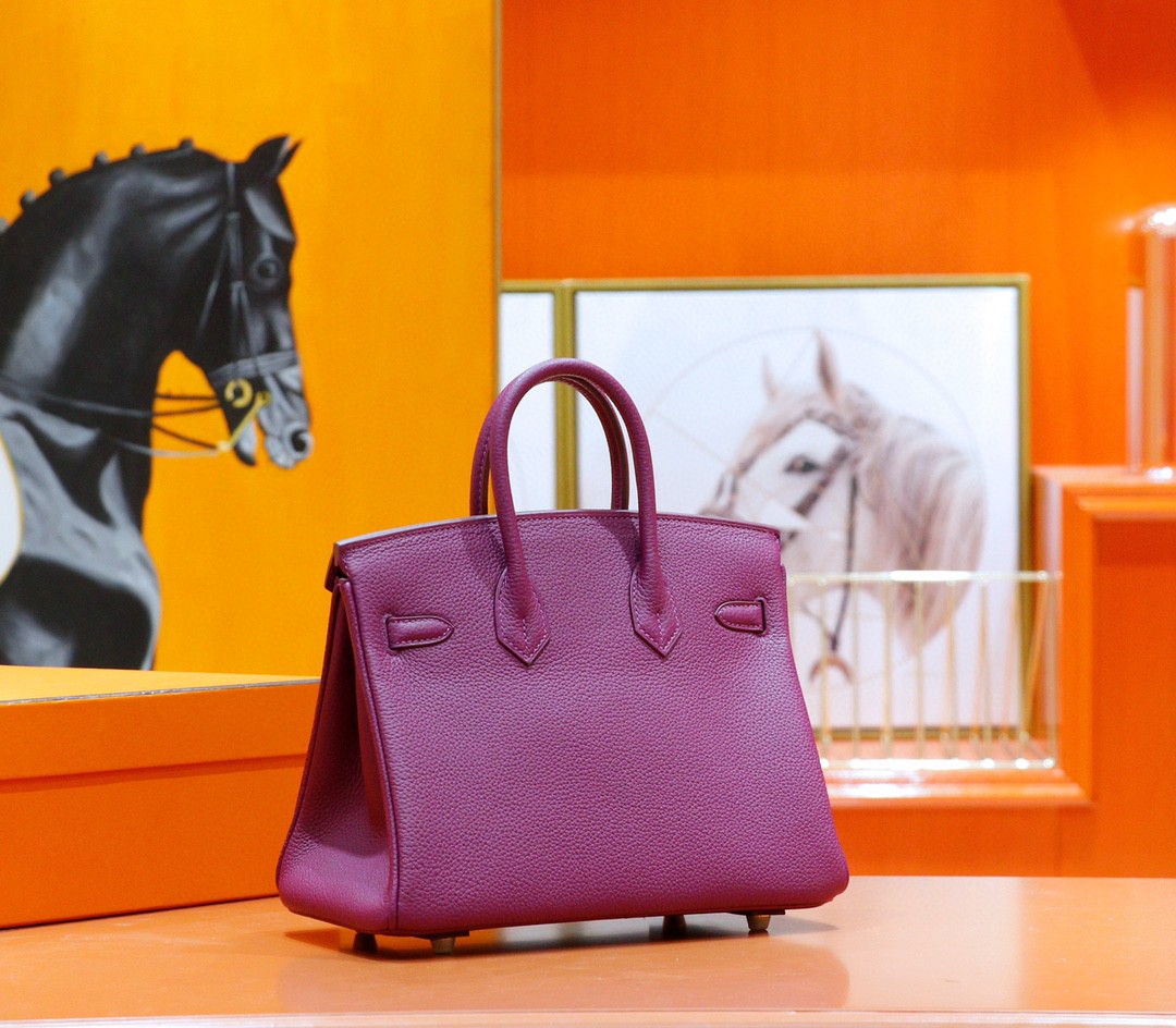 Hermès（爱马仕）Birkin 铂金包 海葵紫 Togo 全手缝 金扣 25cm