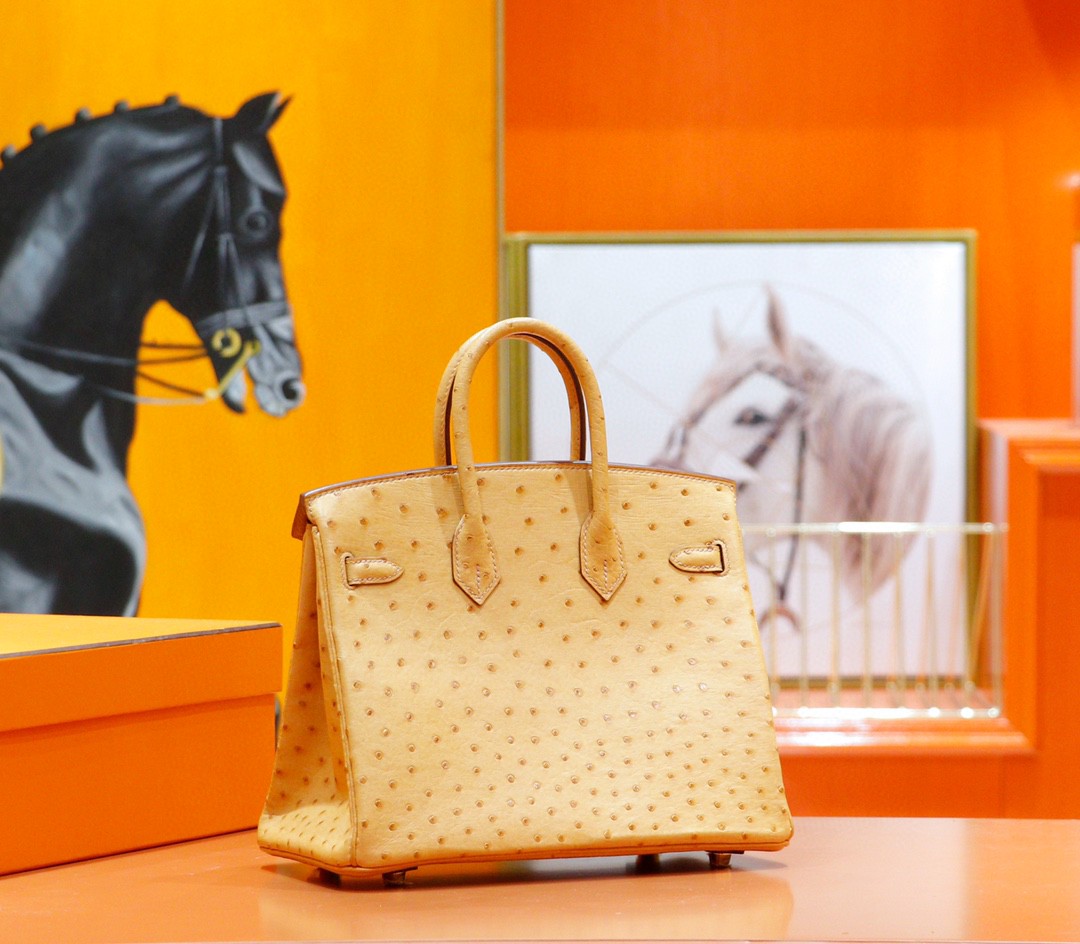 Hermès（爱马仕）Birkin 铂金包 奶茶色 南非鸵鸟皮 金扣 25cm