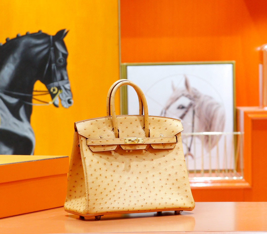 Hermès（爱马仕）Birkin 铂金包 奶茶色 南非鸵鸟皮 金扣 25cm